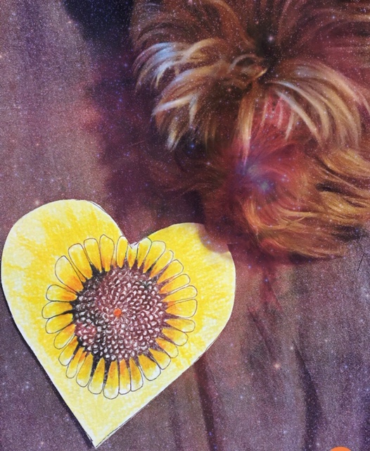 Cosmic sunflower